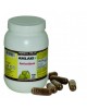 Amlaki 700 Vegie Capsules