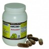 Amlaki 700 Vegie Capsules