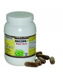 Bacopa 700 Vegie Capsules