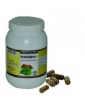 Fenugreek 700 Vegie Capsules