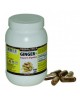 Ginger 700 Vegie Capsules