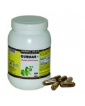 Gurmar 700 Vegie Capsules