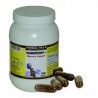 Shankhpushpi 700 Vegie Capsules